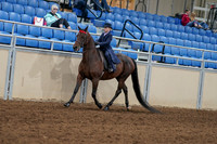 2020 - AB Morgan Horse - Fri, Sept 04 - 03626