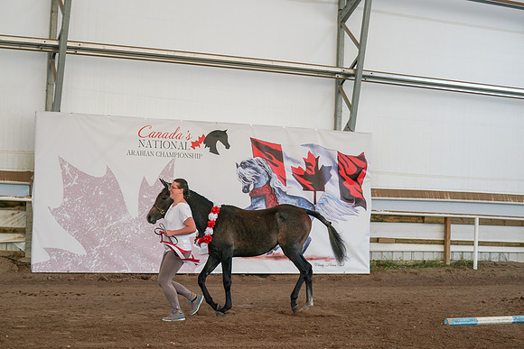 2022 - CNAC - Sept 27 - 01302