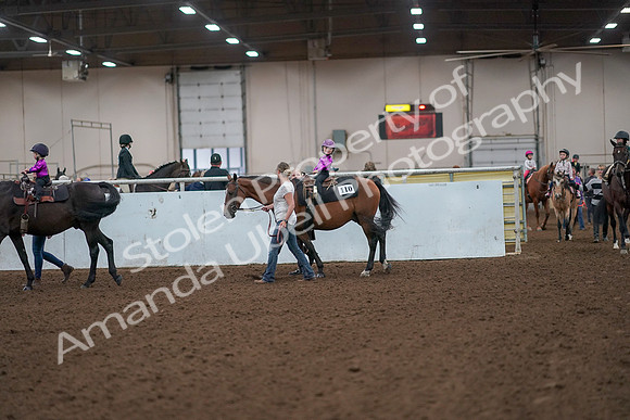 2019 Morgan Horse Show - Aug 31, 2019 - 18898