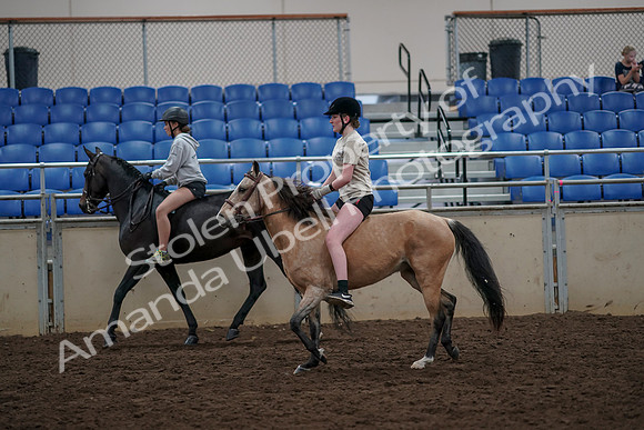 2019 Morgan Horse Show - Aug 30, 2019 - 31232