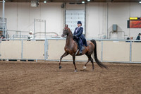 2020 - AB Morgan Horse - Fri, Sept 04 - 07860