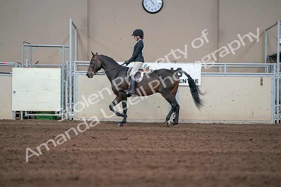 2019 Morgan Horse Show - Sept 01, 2019 - 03688