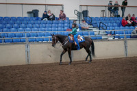 2019 Morgan Horse Show - Aug 31, 2019 - 16299