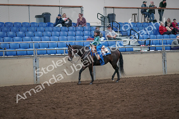 2019 Morgan Horse Show - Aug 31, 2019 - 16299
