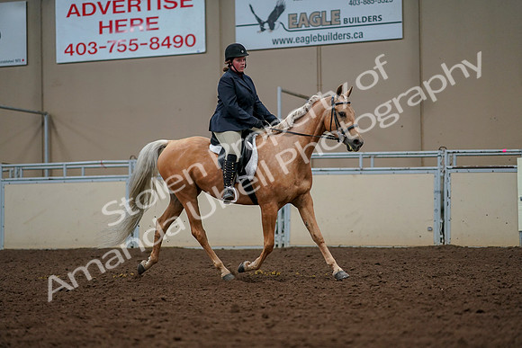 2019 Morgan Horse Show - Aug 30, 2019 - 22611