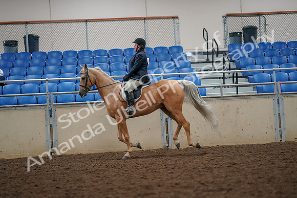 2019 Morgan Horse Show - Aug 30, 2019 - 22377