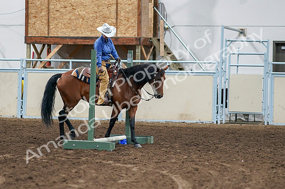 2020 - AB Morgan Horse - Fri, Sept 04 - 00256