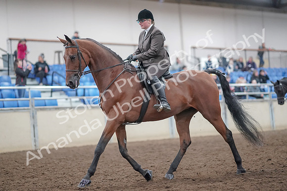 2019 Morgan Horse Show - Aug 31, 2019 - 14651