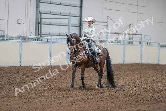 2020 - AB Morgan Horse - Sat, Sept 05 - 09003