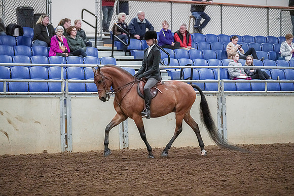 Spring Fling - Saturday - April 20, 2019  -  03778