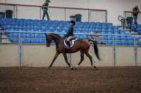 2019 Morgan Horse Show - Aug 31, 2019 - 05560