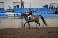 2019 Morgan Horse Show - Aug 31, 2019 - 15859