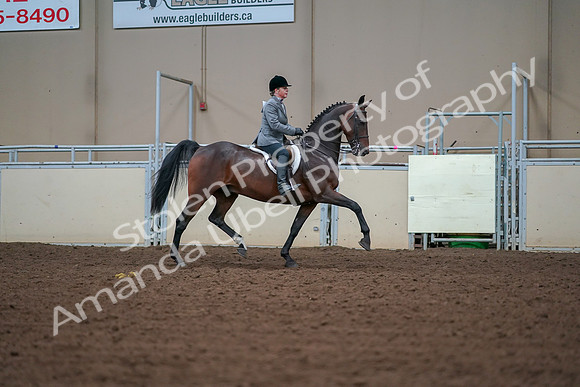 2019 Morgan Horse Show - Aug 30, 2019 - 20935