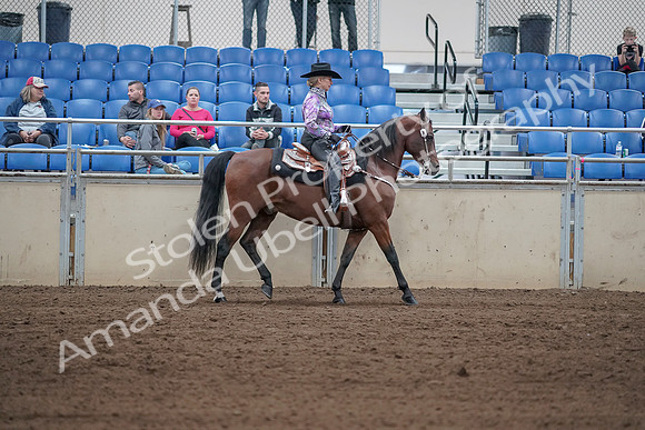 2019 Morgan Horse Show - Sept 01, 2019 - 07069