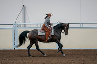 2020 - AB Morgan Horse - Fri, Sept 04 - 00415