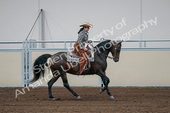 2020 - AB Morgan Horse - Fri, Sept 04 - 00415