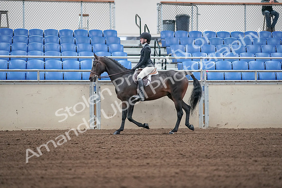 2019 Morgan Horse Show - Sept 01, 2019 - 03667