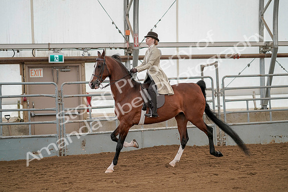 July 20, 2019 - 02067