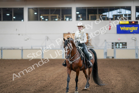 2020 - AB Morgan Horse - Sun, Sept 06 - 07612