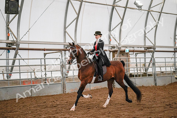 July 19, 2019 - 8877