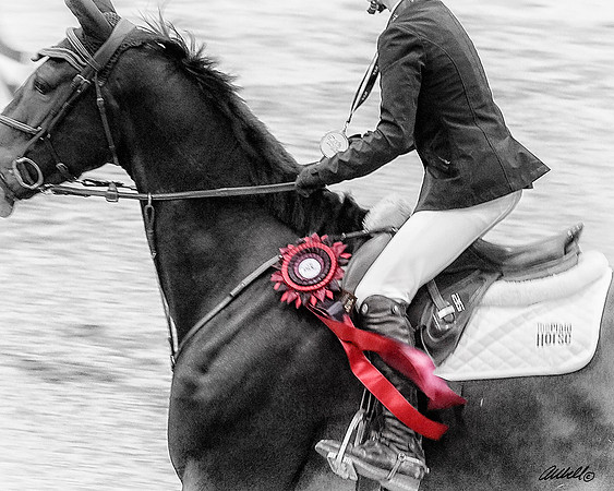 RW Awards Oct 21 2017 TPH - 00200_1