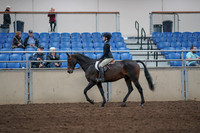 2019 Morgan Horse Show - Aug 31, 2019 - 08047
