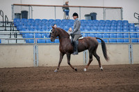 2019 Morgan Horse Show - Sept 01, 2019 - 06227