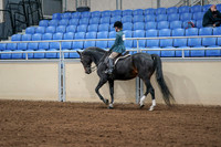 2020 - AB Morgan Horse - Fri, Sept 04 - 07744