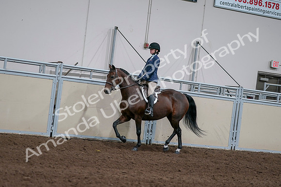 2020 - AB Morgan Horse - Fri, Sept 04 - 05912
