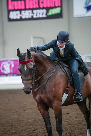 Spring Fling - Saturday - April 20, 2019  -  00868
