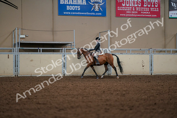 2019 Morgan Horse Show - Aug 30, 2019 - 23276