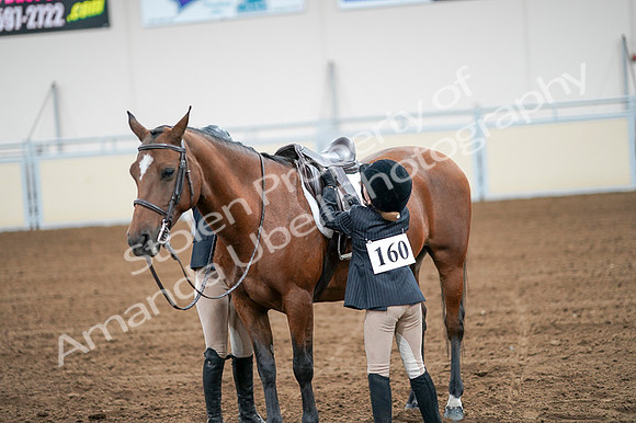 2020 - AB Morgan Horse - Fri, Sept 04 - 02087