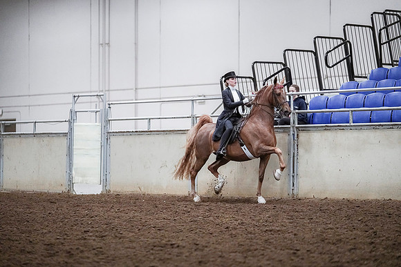 Spring Fling - Saturday - April 20, 2019  -  04331