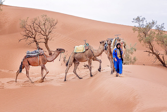 Morocco - 110