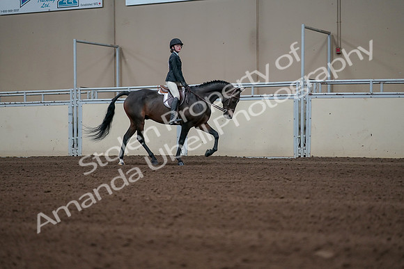 2019 Morgan Horse Show - Sept 01, 2019 - 03845