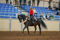 2020 - AB Morgan Horse - Sat, Sept 05 - 10361