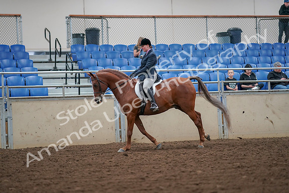 2019 Morgan Horse Show - Aug 30, 2019 - 16405