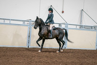 2020 - AB Morgan Horse - Sat, Sept 05 - 09060