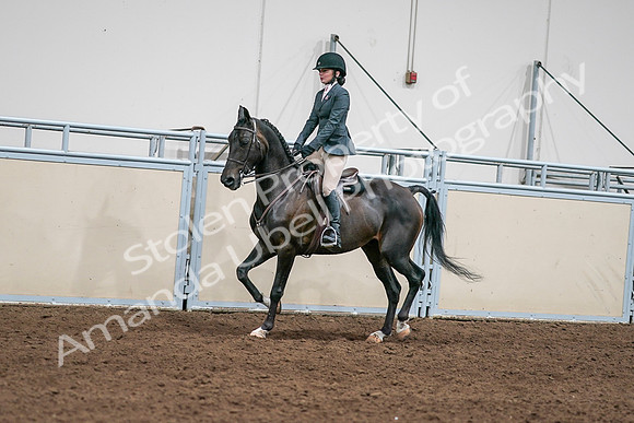2020 - AB Morgan Horse - Sat, Sept 05 - 09060