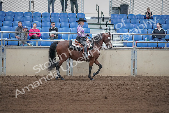2019 Morgan Horse Show - Sept 01, 2019 - 07074