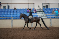 2019 Morgan Horse Show - Aug 30, 2019 - 27192
