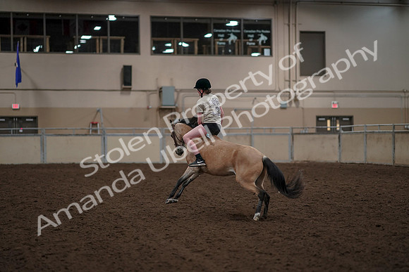 2019 Morgan Horse Show - Aug 30, 2019 - 31260