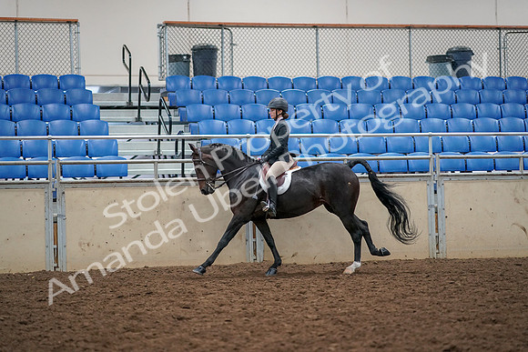 2019 Morgan Horse Show - Aug 30, 2019 - 23408