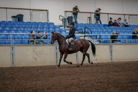 2019 Morgan Horse Show - Aug 31, 2019 - 05564