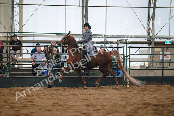 July 20, 2019 - 17015