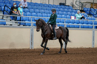 2020 - AB Morgan Horse - Fri, Sept 04 - 03940