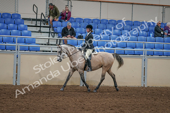 2020 - AB Morgan Horse - Sat, Sept 05 - 01191