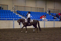 Class 182 - All Breeds Amateur Equitation, Sr. Rider Stake