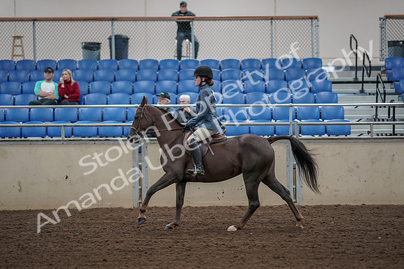 2019 Morgan Horse Show - Aug 31, 2019 - 05127