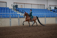 2019 Morgan Horse Show - Sept 01, 2019 - 13150